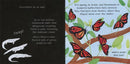 Animal Journeys A Shine-A-Light Book - ToyologyToys