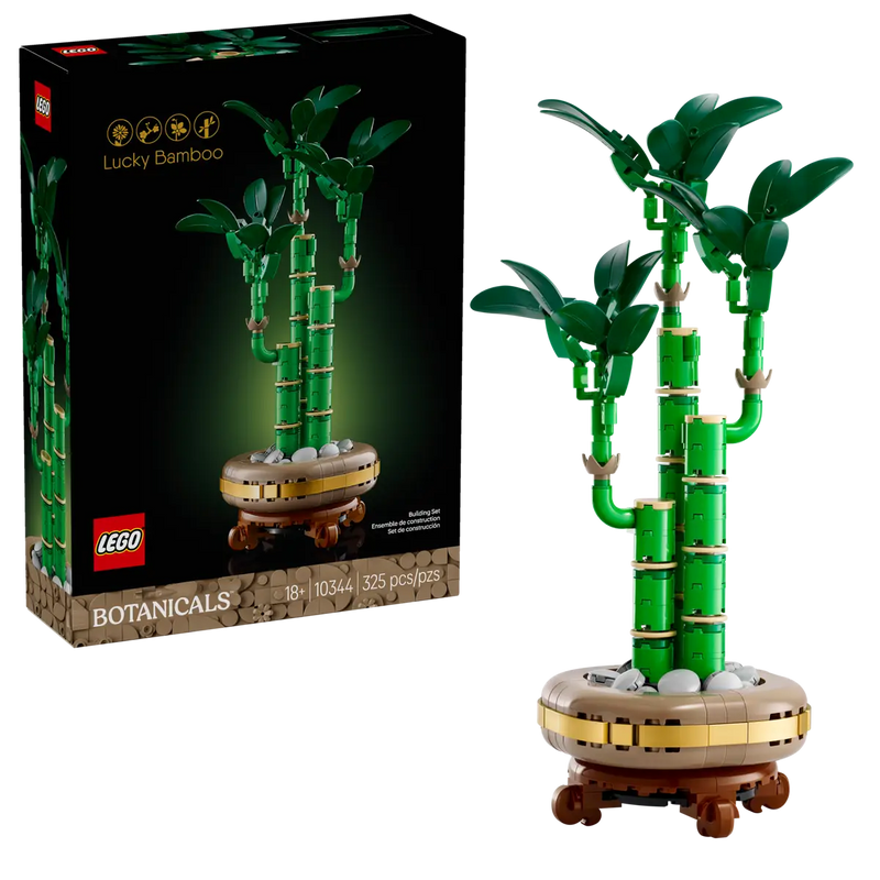 Lucky Bamboo