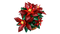 Poinsettia - Botanicals