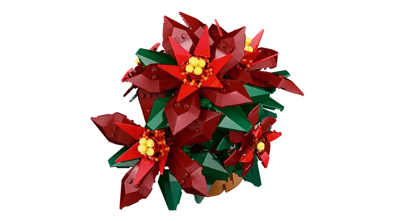 Poinsettia - Botanicals