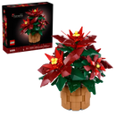 Poinsettia - Botanicals