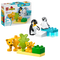 Wild Animal Families : Penguins & Lions - DUPLO