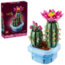 Flowering Cactus - Botanicals