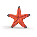 Color Change Starfish - ToyologyToys