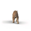 Smilodon - ToyologyToys