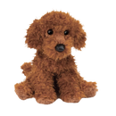 Ginger Miniature Poodle