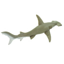 Hammerhead Shark