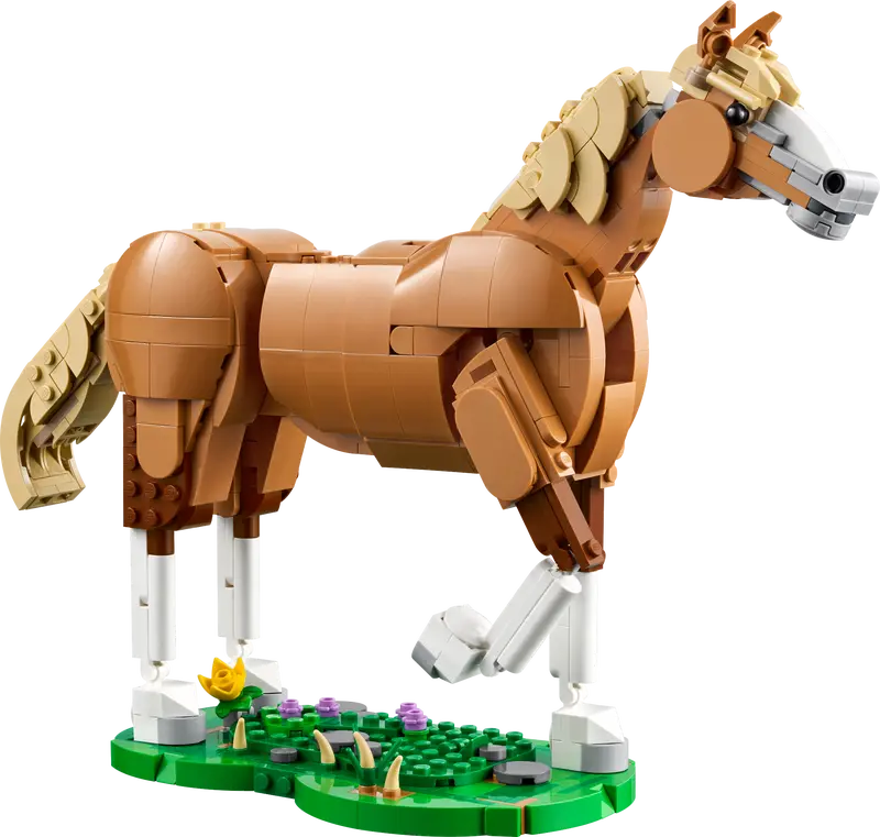 Beautiful Horse - Creator