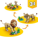 Wild Animals : Majestic Lion