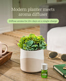 Lifelines Planter Diffuser - Two Tone Succulent