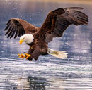 Magnetic Block Puzzle 27pc animal