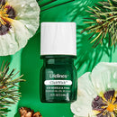 Lifelines ClickWick - Walk In The Woods