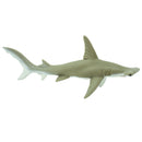 Hammerhead Shark
