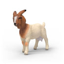 Boer Goat - ToyologyToys