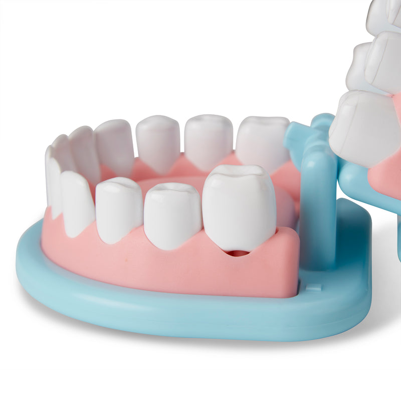 Dentist Kit Play Set