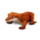 Crested Gecko