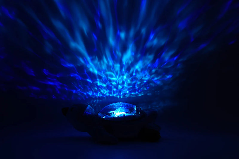 Cloud b Tranquil Penguin