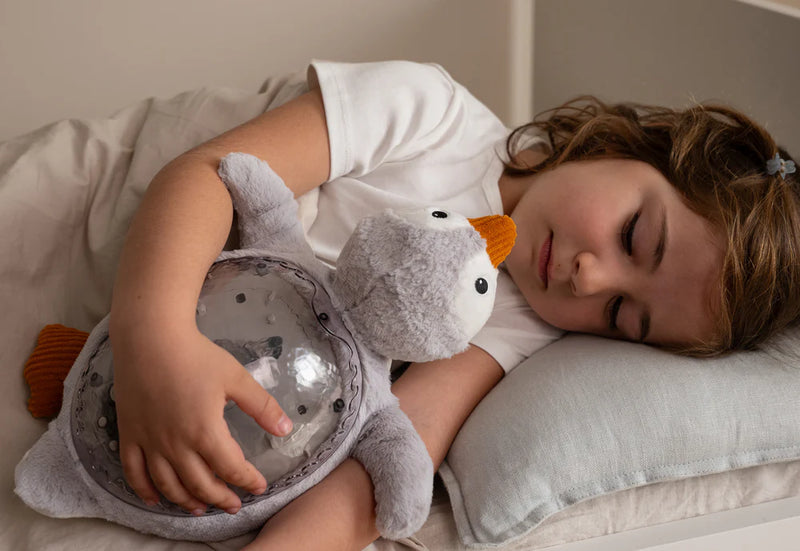 Cloud b Tranquil Penguin