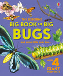 Big Book of Big Bugs - ToyologyToys