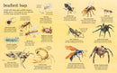 Big Book of Big Bugs - ToyologyToys