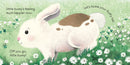 There There Little Bunny - ToyologyToys