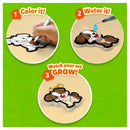 Aqua Puffs - Animals - Toyology Toys