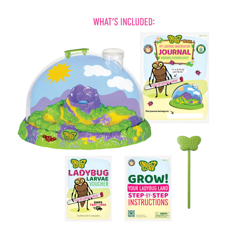 Insect Lore Ladybug Land