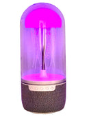 Jellyfish Lamp and Speaker