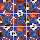 Squzzle Puzzle - Sports - ToyologyToys