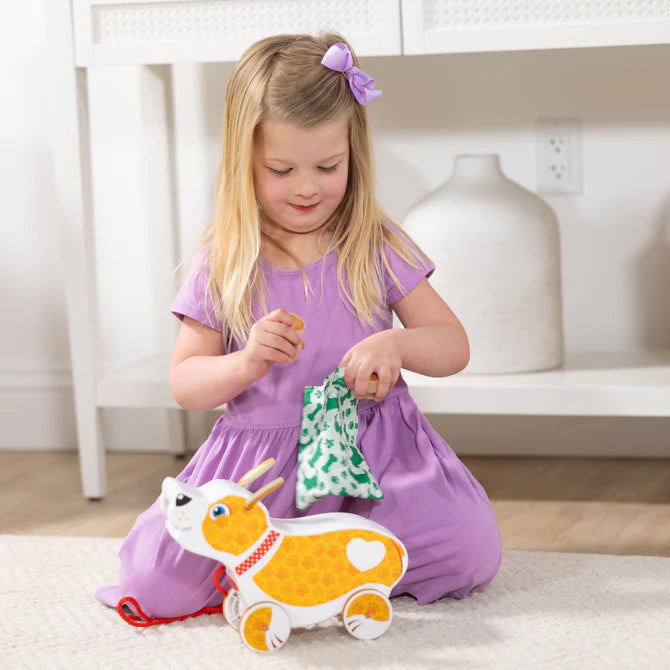 Fred, Walk, and Poo Pup