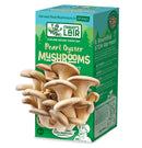 Edible Mushrooms Stem Kit -Pink or  Pearl