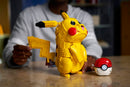 Pikachu And Poke Ball