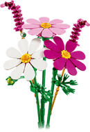 Cosmos Flowers - Botanicals