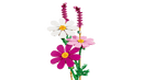Cosmos Flowers - Botanicals