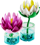 Water Lilies - Botanicals