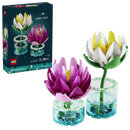 Water Lilies - Botanicals