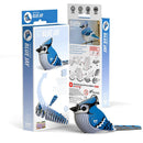 EUGY Blue Jay 3D Cardboard model Kit - Toyology Toys