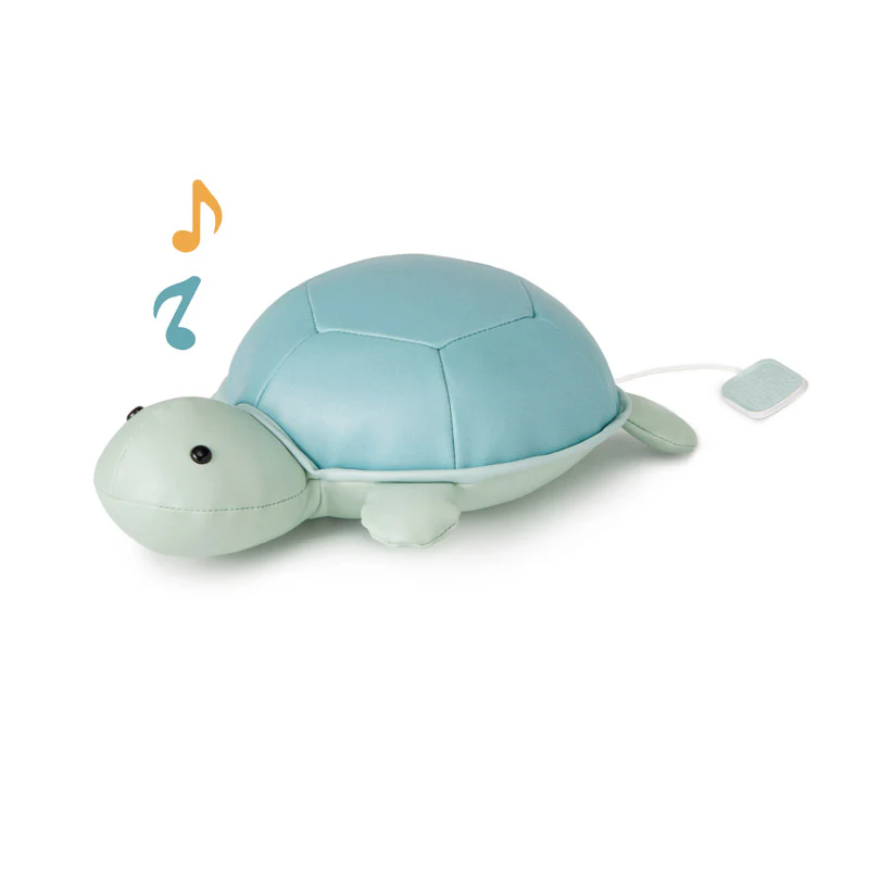 Musical Friends - Emilie the Turtle