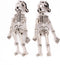 Spooky Scary Skeleton Clip On Earrings