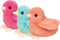 Colorful Chicks Assortment