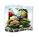 Bonsai Moss & Rock Garden Terrarium - Toyology Toys