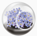 Tiny Terrarium Flowers