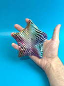 Floppy Starfish Fidget - Toyology Toys