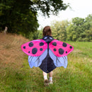 Pink Dress-up Ladybug Wings