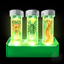 Kidzlabs Glow Critter Lab