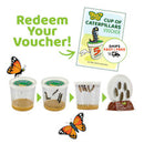 The Original Butterfly Garden Life Cycle Kit