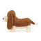 Randall Basset Hound