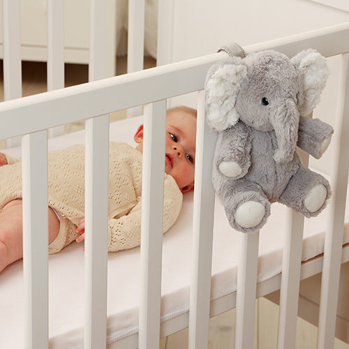 Eli the Elephant On The Go