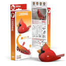 EUGY Cardinal 3D Cardboard model Kit - Toyology Toys