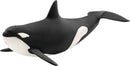 Killer Whale - Toyology Toys